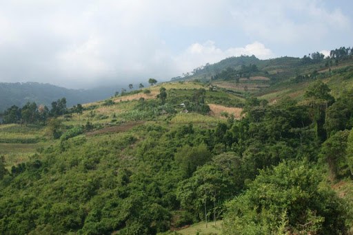 Gwassi Hills（水系 / 湖泊 / 海岸）-非行家旅行-Africa Wild Wander