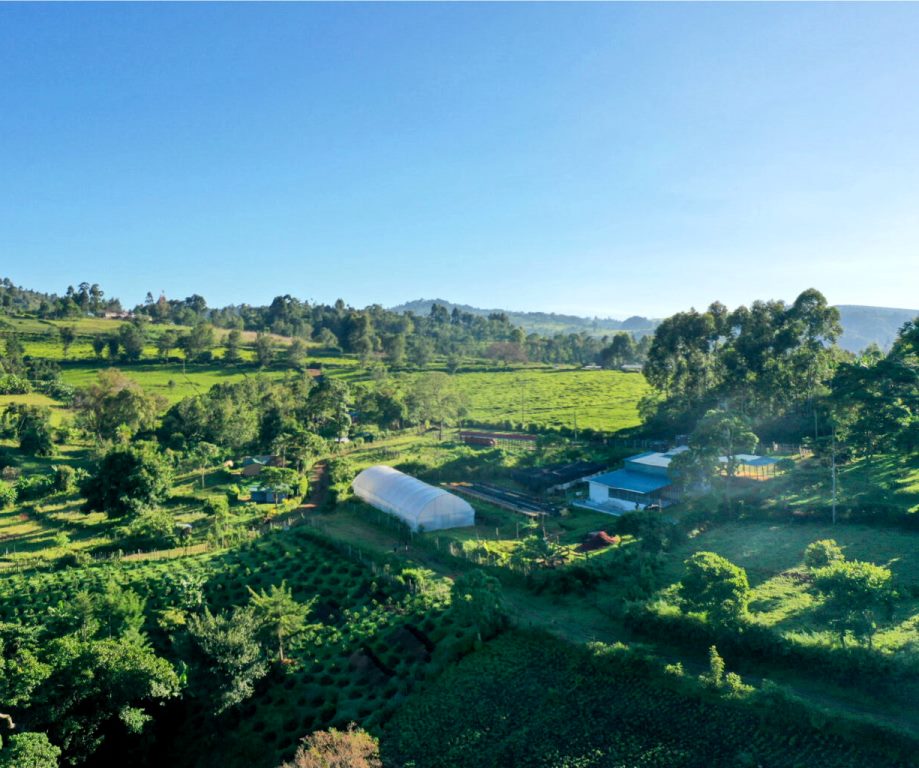 Nandi Hills（南迪丘陵）-非行家旅行-Africa Wild Wander