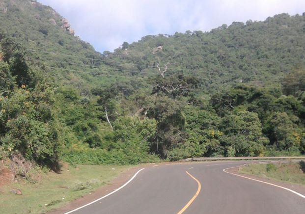 Forests in Kenya（水系 / 湖泊 / 海岸）-非行家旅行-Africa Wild Wander