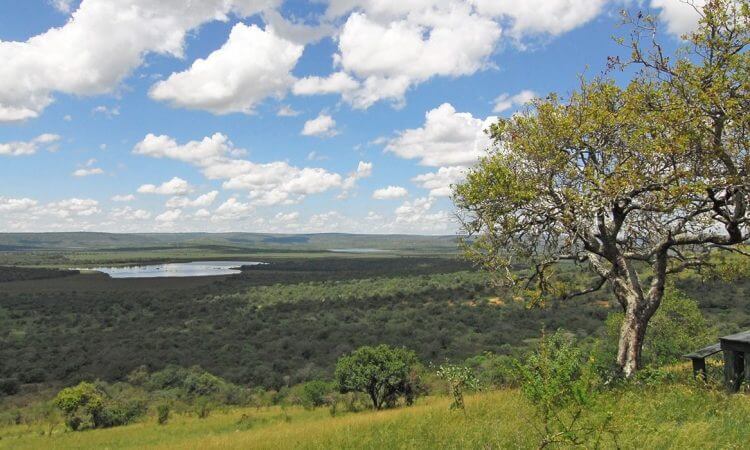 乌干达国家公园体系概览-非行家旅行-Africa Wild Wander
