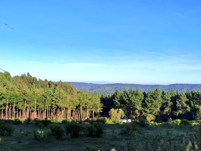 Timboroa Railway Station-非行家旅行-Africa Wild Wander