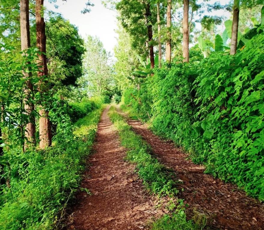 Mbari Ya Ngware（Agikuyu 文化 / 历史遗产）-非行家旅行-Africa Wild Wander