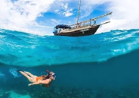 Pilli Pipa Dhow（海洋保护 / 海岛体验）-非行家旅行-Africa Wild Wander