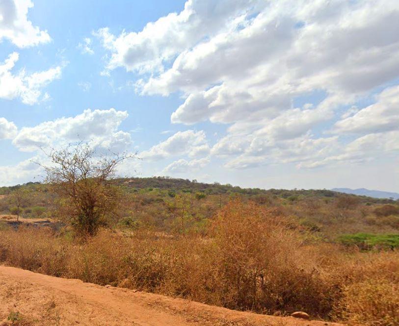 Muvaroa Hill Forest（穆瓦罗阿山森林）-非行家旅行-Africa Wild Wander