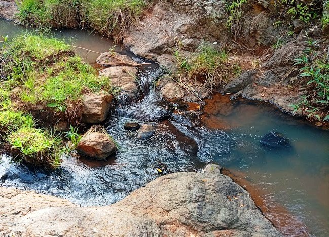 Ngare Ndare Forest(恩加雷恩达雷森林)-非行家旅行-Africa Wild Wander