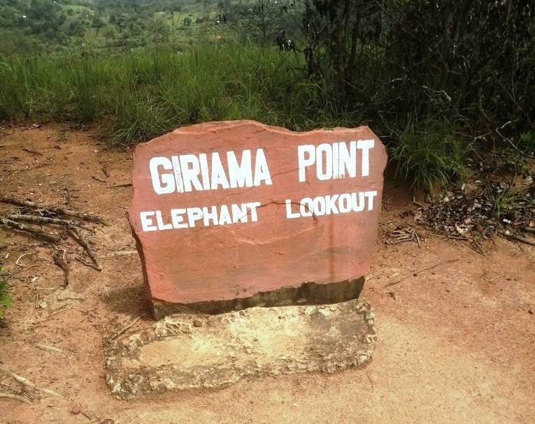 Elephant Lookout（保护区 / 野生动物）-非行家旅行-Africa Wild Wander