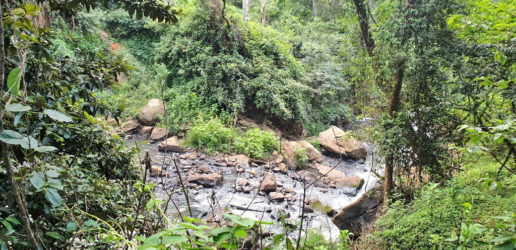 Kessup Forest（水系 / 湖泊 / 海岸）-非行家旅行-Africa Wild Wander