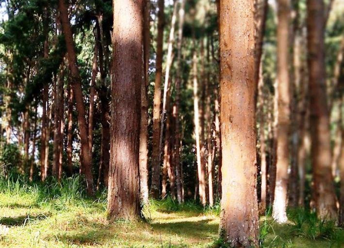 Kamuruana Hill(卡穆鲁阿纳山)-非行家旅行-Africa Wild Wander