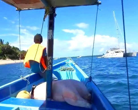 Lamu Boat Rides（拉穆船行体验）-非行家旅行-Africa Wild Wander