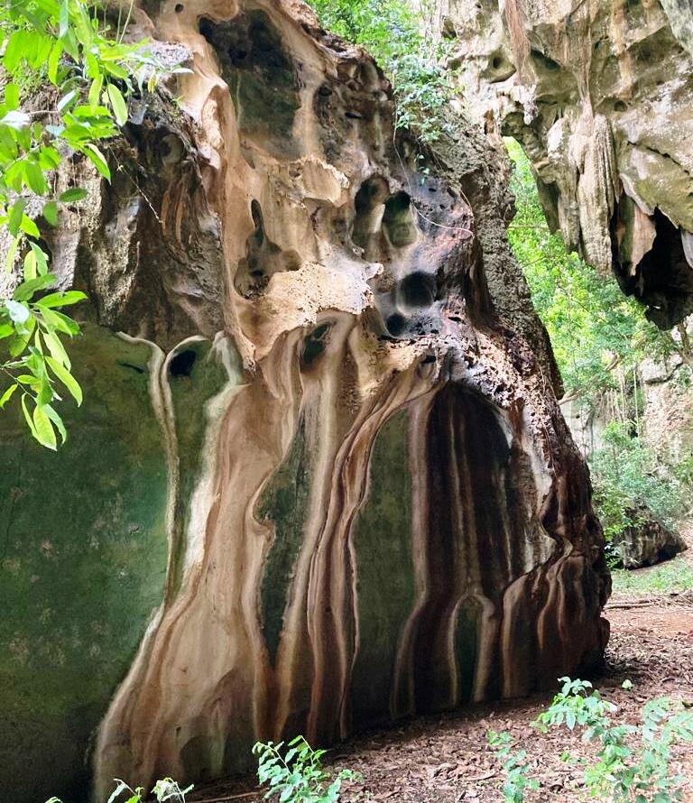 Panga ya Saidi Cave（水系 / 湖泊 / 海岸）-非行家旅行-Africa Wild Wander