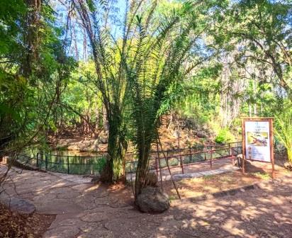 Haller Park Mombasa（蒙巴萨哈勒公园）-非行家旅行-Africa Wild Wander