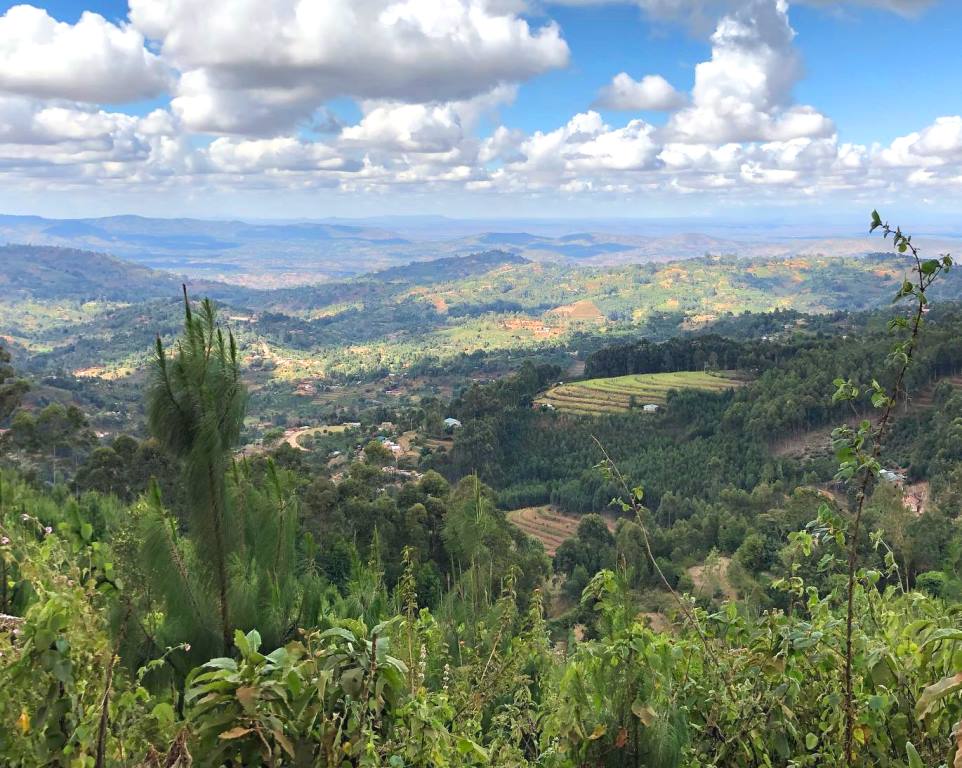 Iveti Hills Forest（伊韦蒂山森林）-非行家旅行-Africa Wild Wander