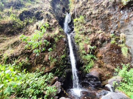 Kenungu Falls（瀑布 / 森林水系）-非行家旅行-Africa Wild Wander