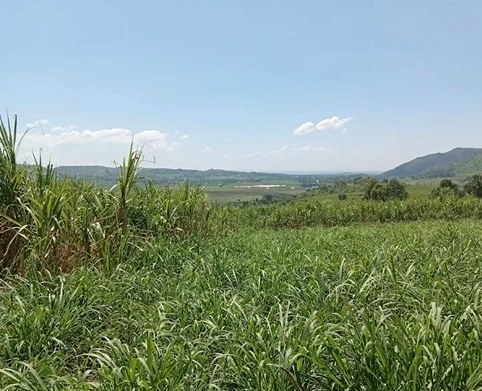 Songhor Site（县域目的地）-非行家旅行-Africa Wild Wander
