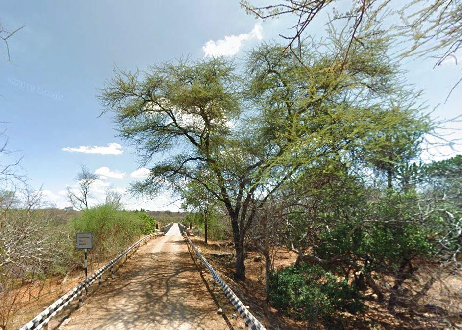 Mwingi National Reserve（姆温吉国家保护区）-非行家旅行-Africa Wild Wander