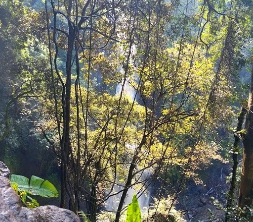 Londiani Falls（水系 / 瀑布）-非行家旅行-Africa Wild Wander