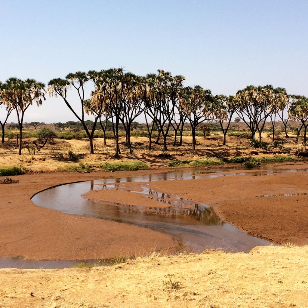 Ewaso Nyiro River（水系 / 湖泊 / 海岸）-非行家旅行-Africa Wild Wander