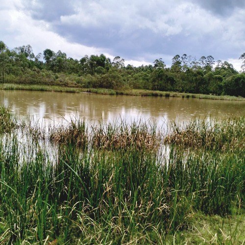Kisii County（基西县）-非行家旅行-Africa Wild Wander