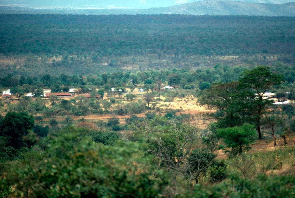 Kiangombe Forest（水系 / 湖泊 / 海岸）-非行家旅行-Africa Wild Wander