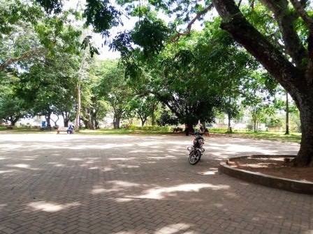 Baraza Park（住宿餐饮 / 休闲设施）-非行家旅行-Africa Wild Wander