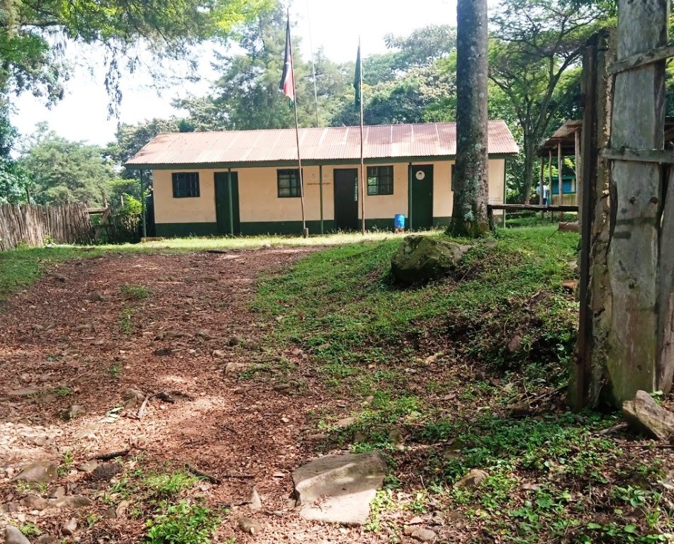 Kibiri Forest（基比里森林）-非行家旅行-Africa Wild Wander