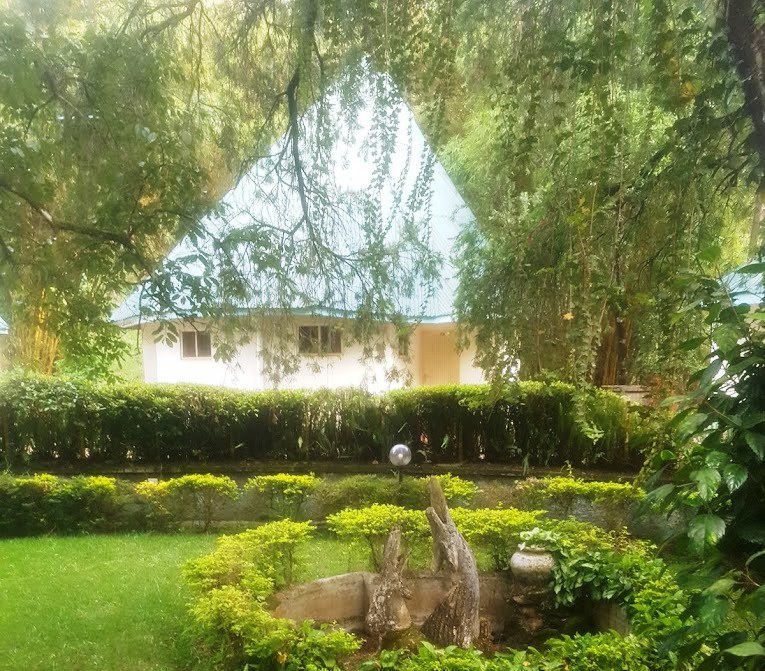 Savona Isle Resort（萨沃纳岛度假酒店）-非行家旅行-Africa Wild Wander