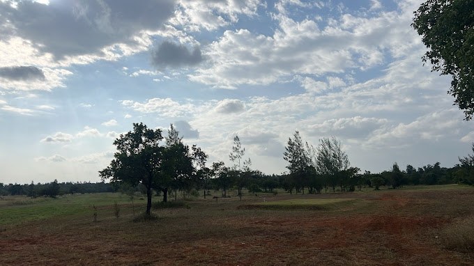 Embu Golf Range（县域目的地 / 专题资料）-非行家旅行-Africa Wild Wander