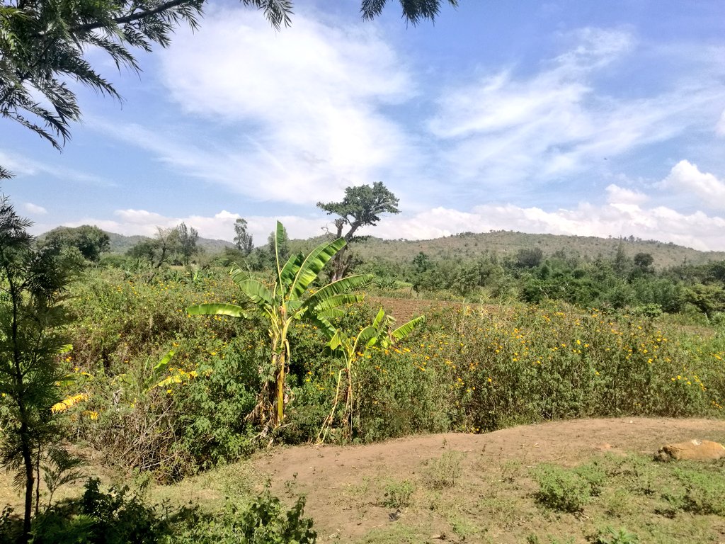 Kocholia Scheme(水系 / 湖泊 / 海岸)-非行家旅行-Africa Wild Wander