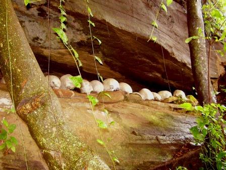 Taita Skull Caves（Taita Hills / 高地文化）-非行家旅行-Africa Wild Wander