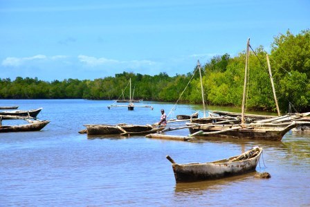 Gazi Beach（加齐海滩）-非行家旅行-Africa Wild Wander