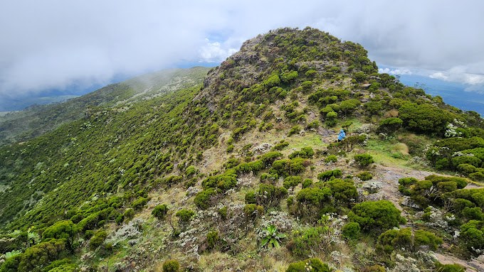 Aberdare National Park（自然景观 / 徒步）-非行家旅行-Africa Wild Wander
