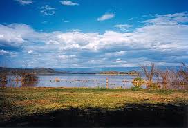 Lake Bogoria-非行家旅行-Africa Wild Wander