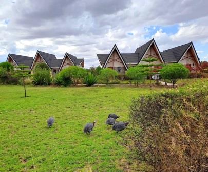 Stoni Athi Resort（Athi-Kapiti / Lukenya 生态）-非行家旅行-Africa Wild Wander