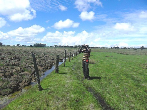 Sharpe’s Longclaw Reserve（县域目的地）-非行家旅行-Africa Wild Wander