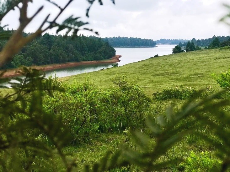 Sasumua Dam（萨苏穆阿水库）-非行家旅行-Africa Wild Wander