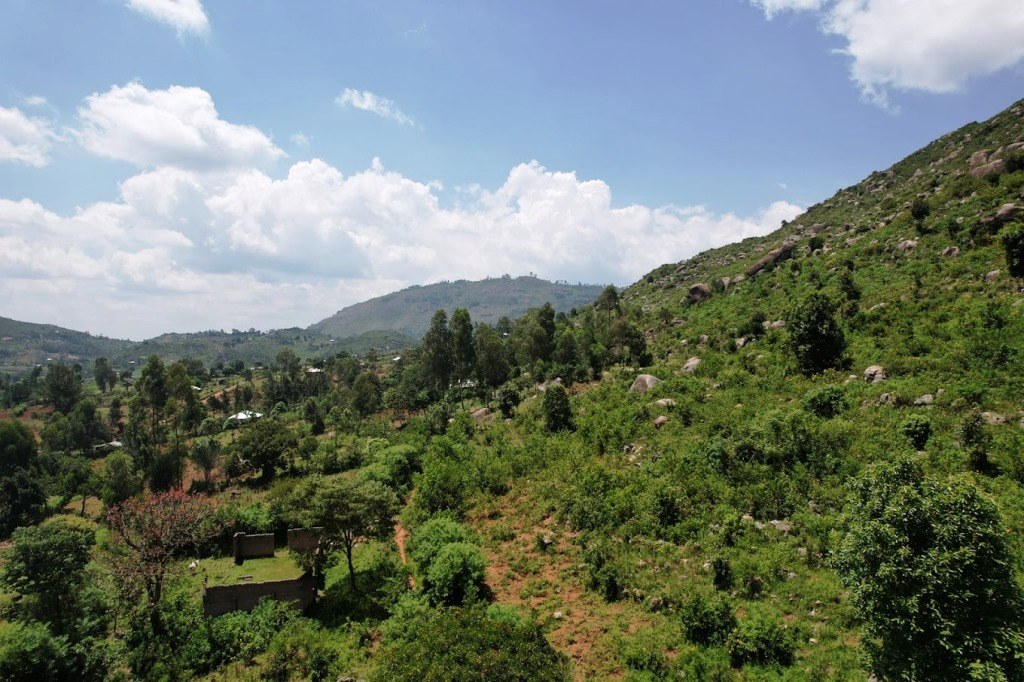 Maragoli Hills / Mungoma Hills（马拉戈利丘陵）-非行家旅行-Africa Wild Wander