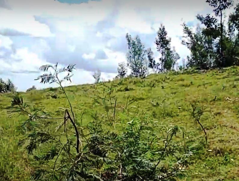 Sameta Hill（自然景观 / 徒步）-非行家旅行-Africa Wild Wander