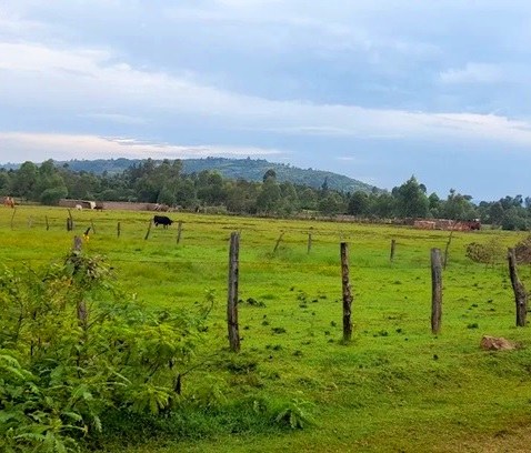 Chebulu Conservancy（县域目的地）-非行家旅行-Africa Wild Wander