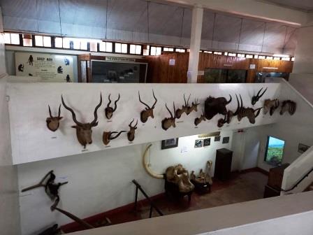 Kitale Museum（基塔莱博物馆）-非行家旅行-Africa Wild Wander