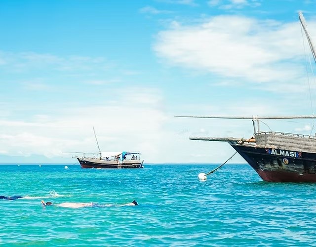 Pilli Pipa Dhow（海洋保护 / 海岛体验）-非行家旅行-Africa Wild Wander