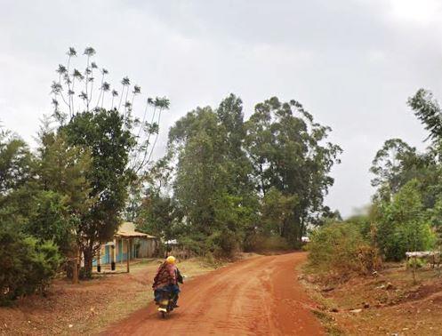 Muyayi Dam（水系 / 湖泊 / 海岸）-非行家旅行-Africa Wild Wander