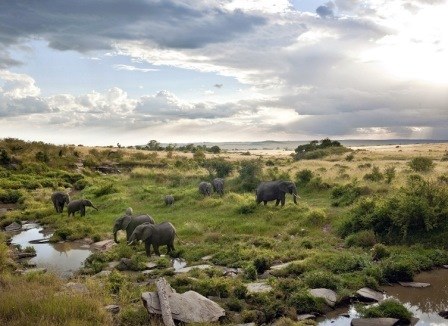The Maasai（自然景观 / 徒步）-非行家旅行-Africa Wild Wander