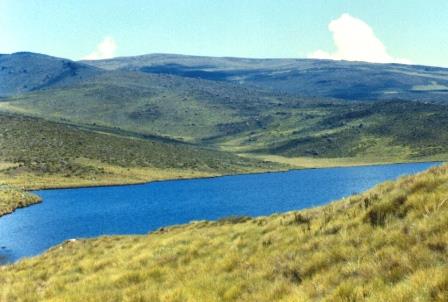 Lake Ellis（埃利斯湖）-非行家旅行-Africa Wild Wander