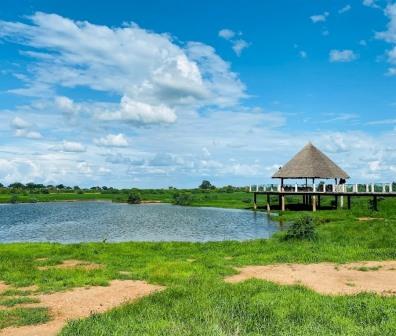 Voi Wildlife Lodge（Tsavo East / 野生动物）-非行家旅行-Africa Wild Wander