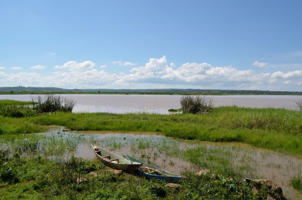 Yala Swamp（水系 / 湖泊 / 海岸）-非行家旅行-Africa Wild Wander