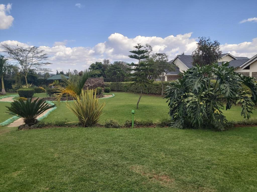 Sahara Gardens Hotel（住宿 / 营地）-非行家旅行-Africa Wild Wander