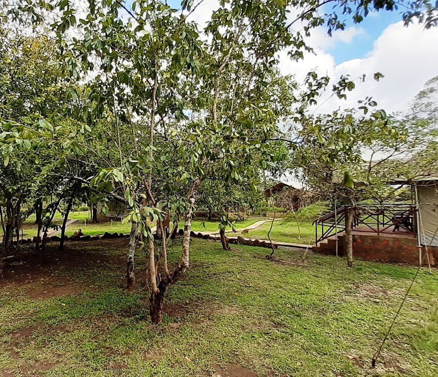 Tetura Camp（住宿休闲 / 周末营地）-非行家旅行-Africa Wild Wander