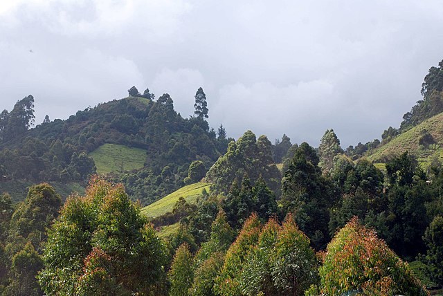 Murang'a County（穆兰加县）-非行家旅行-Africa Wild Wander