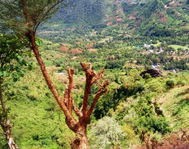 Tamkal Valley（自然景观 / 徒步）-非行家旅行-Africa Wild Wander