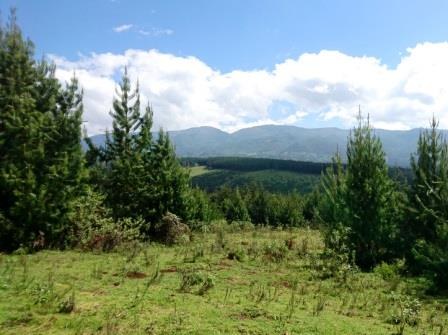 Mount Kipipiri（基皮皮里山）-非行家旅行-Africa Wild Wander
